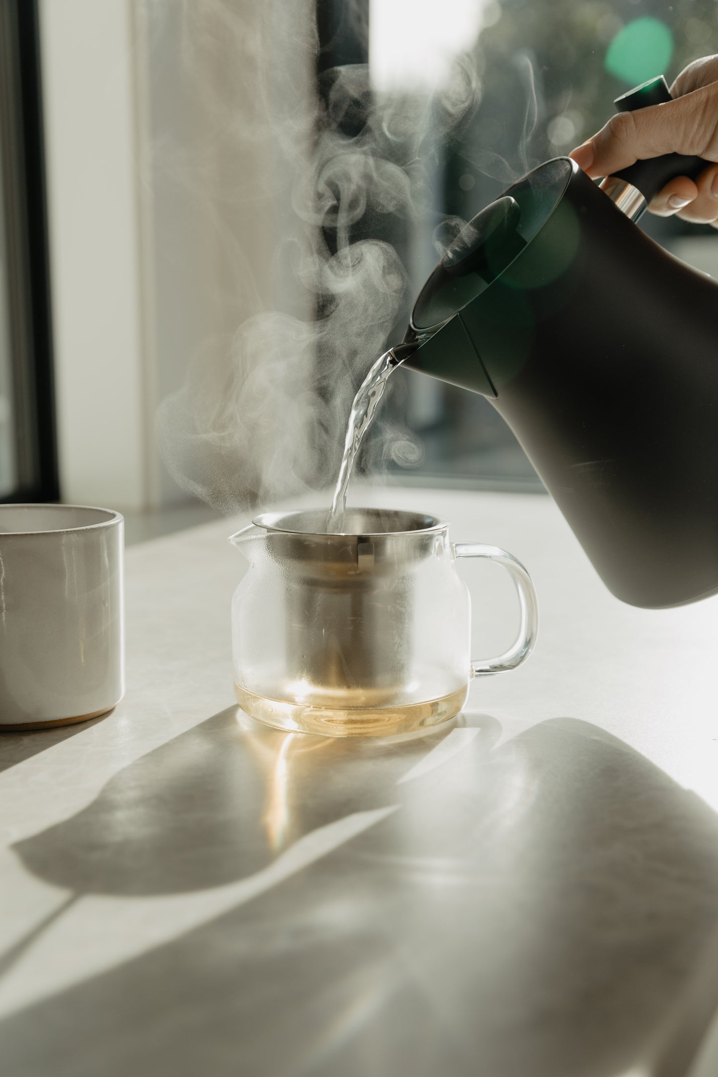 Webster's Sencha Tea