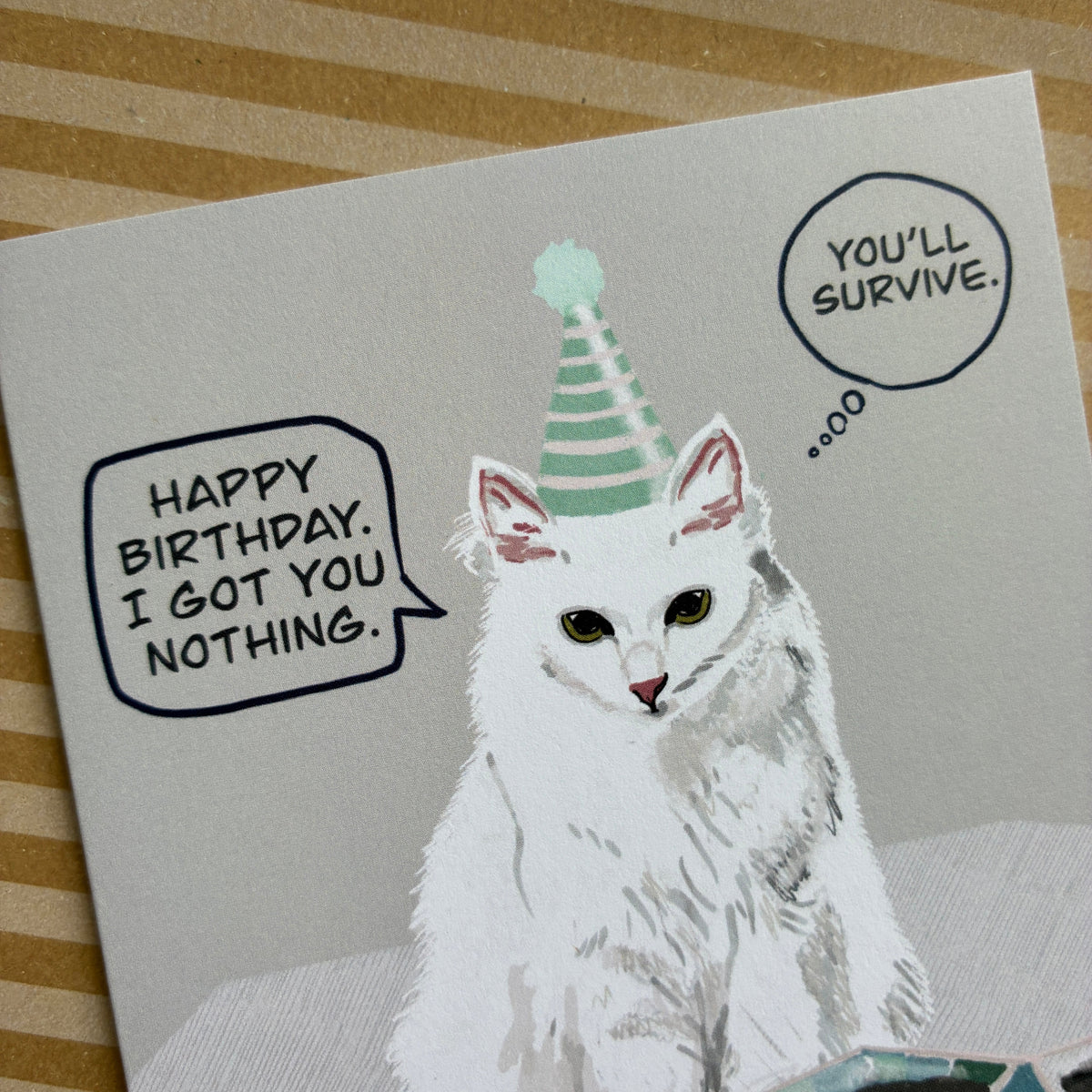 Luna Cat Birthday Present