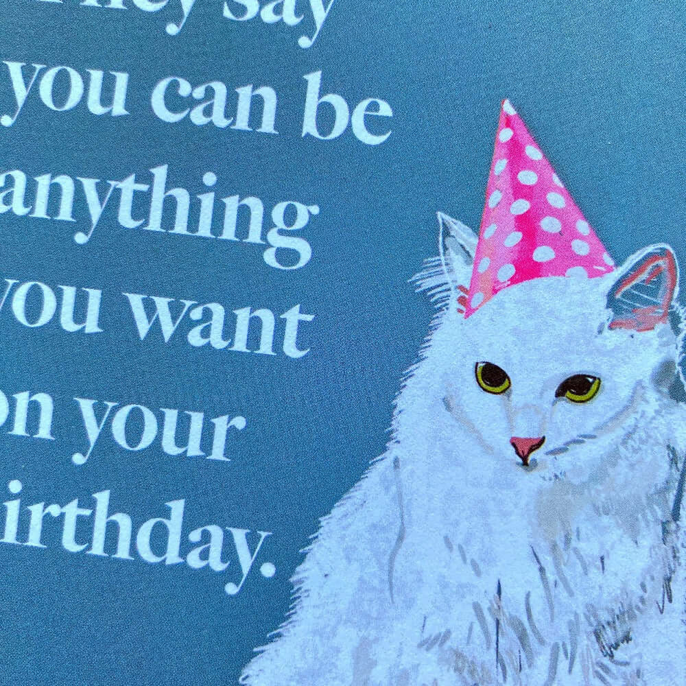 birthday cat with hat