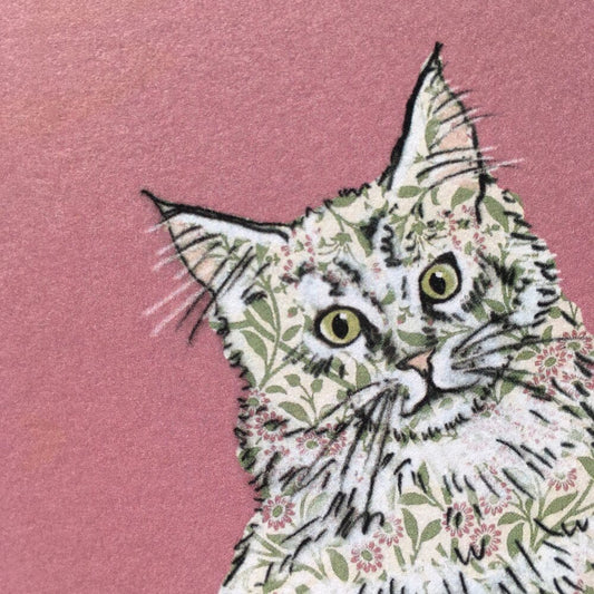 Maine Coon Cat - The Paper People Greeting Cards