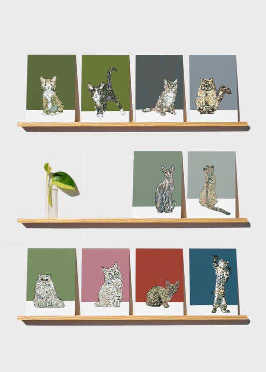 10 Cat Cards