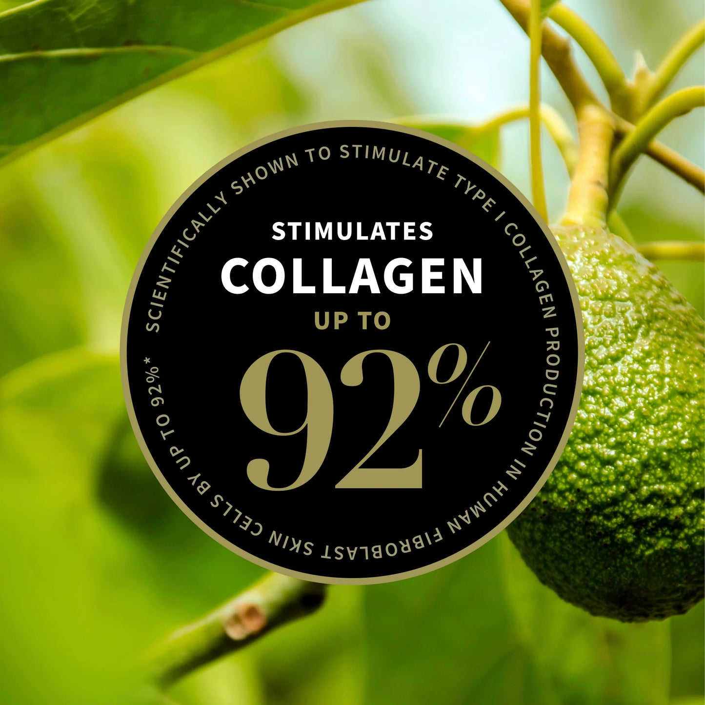 Avocado Pear Collagen-Boosting Night Cream 15ml