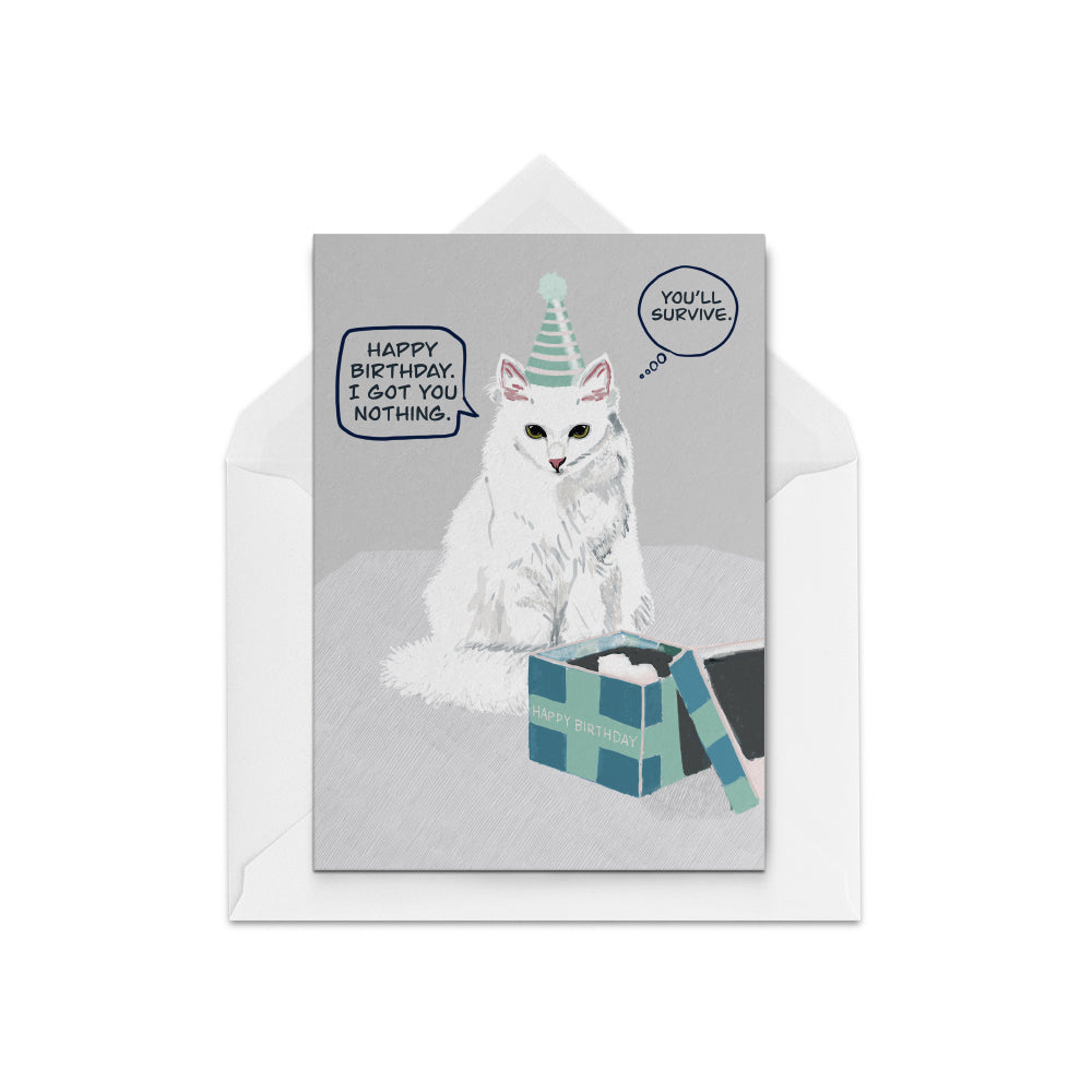 Luna Cat Birthday Present