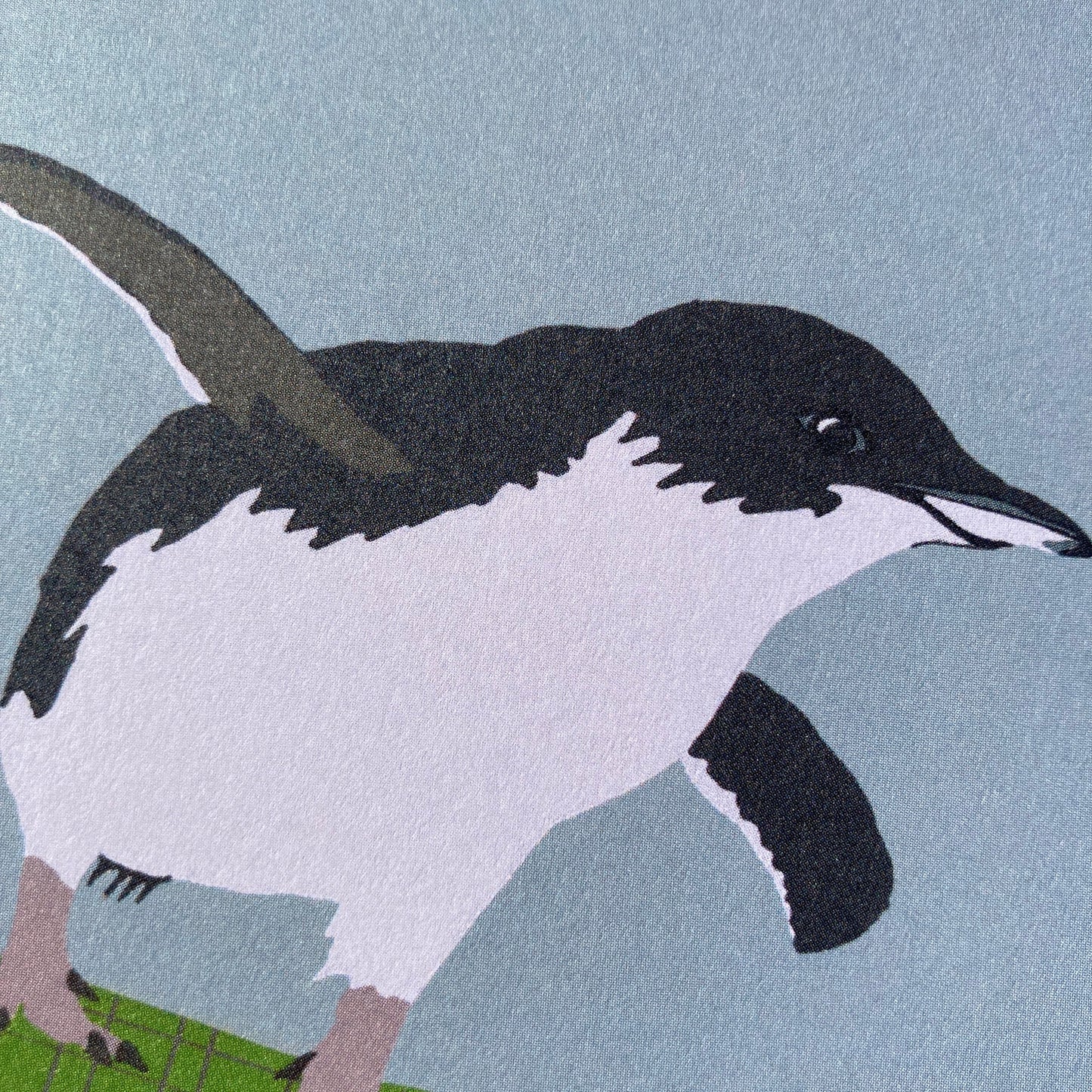 Little Blue Penguin