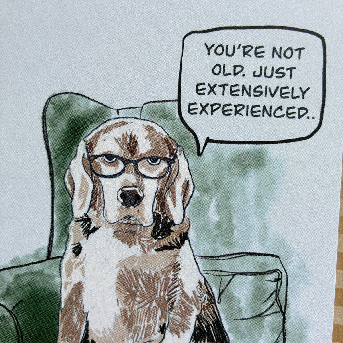 Old Dog Birthday Card