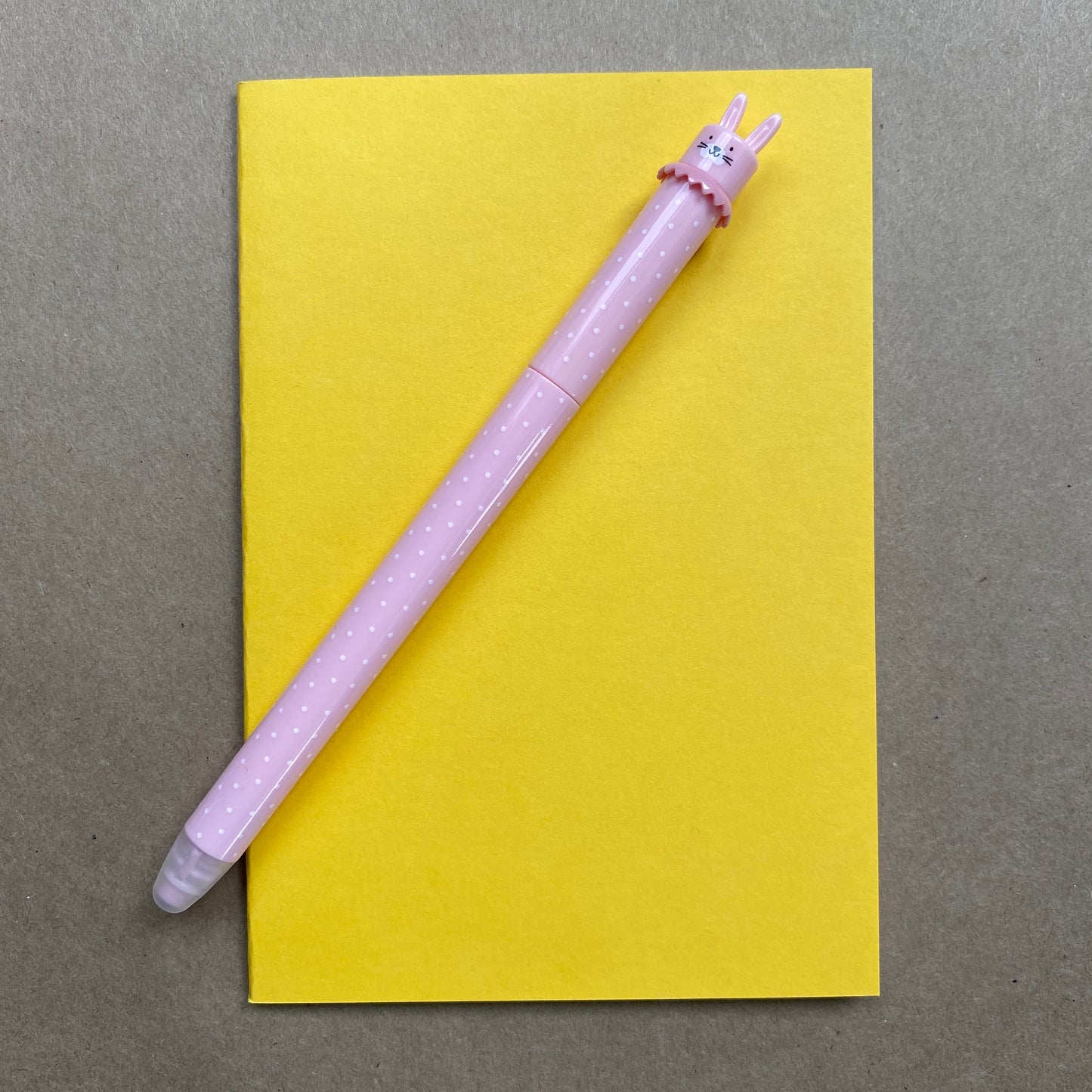 Notebook and Animal Erasable pens