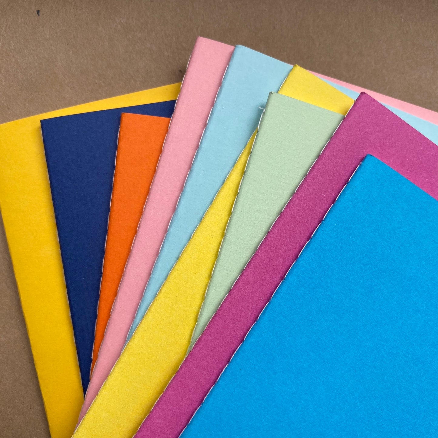 Notebook and Animal Erasable pens