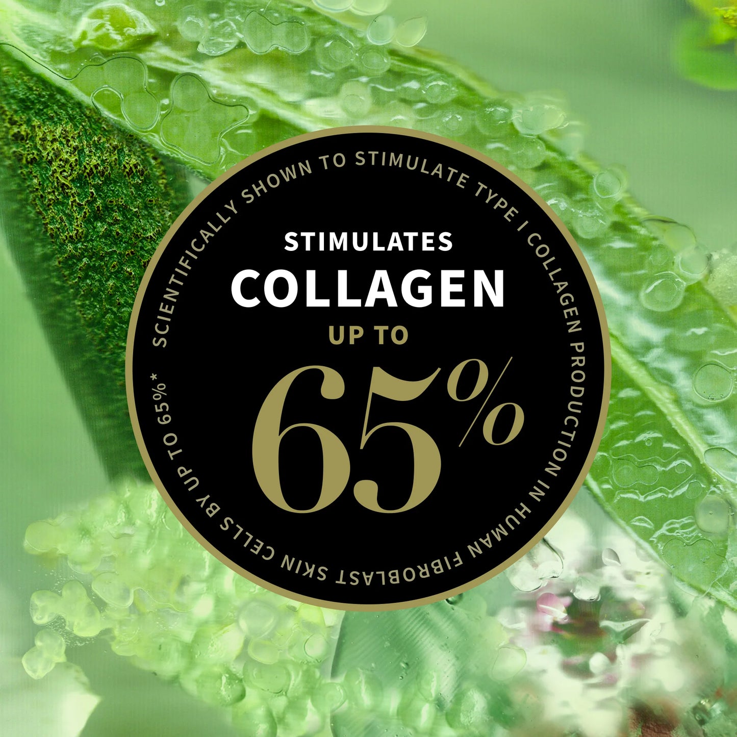 Lime Caviar Collagen-Rich Firming Cream 15ml