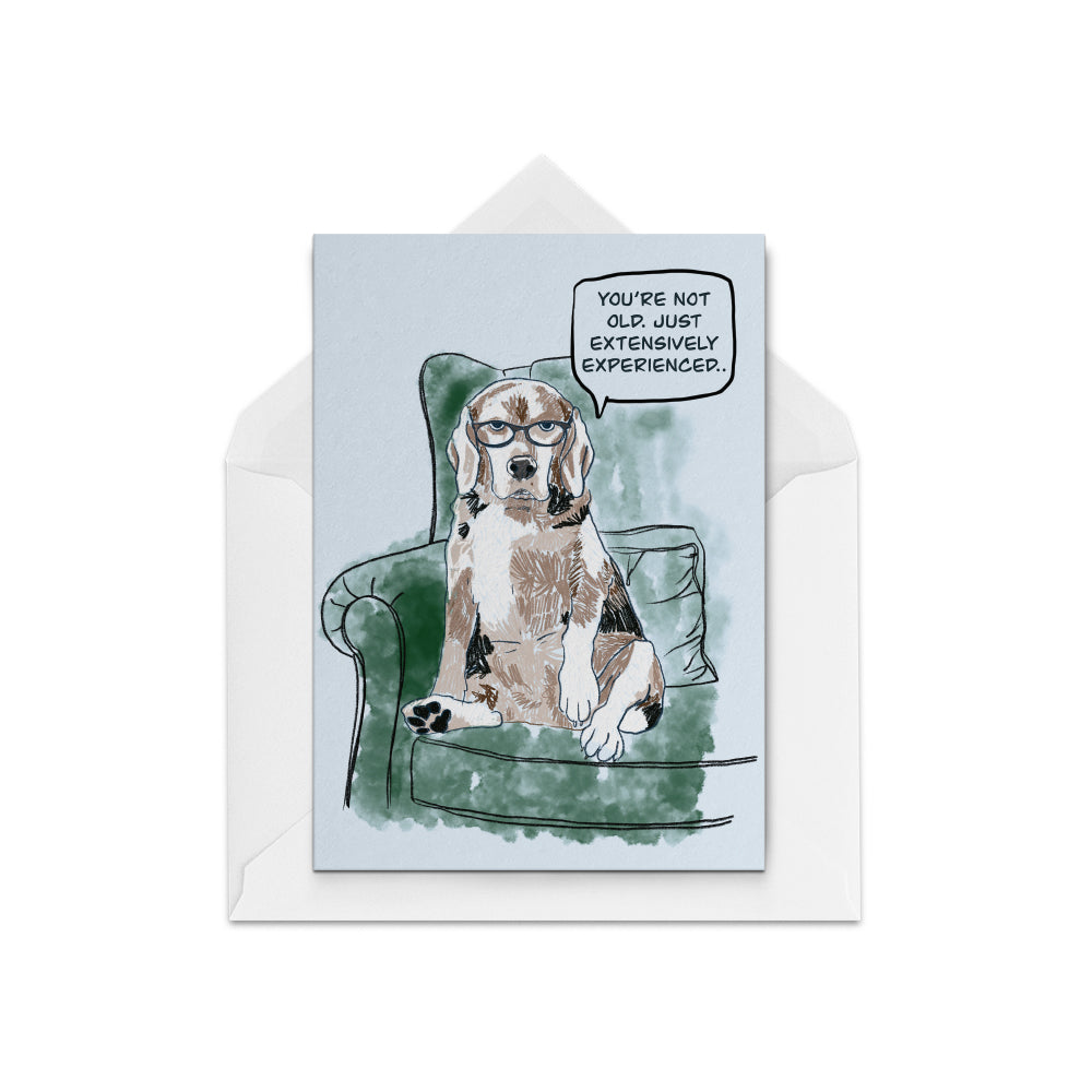 Old Dog Birthday Card