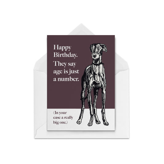 Grumpy Dog Birthday Wishes
