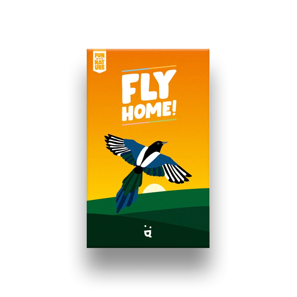 Fly Home