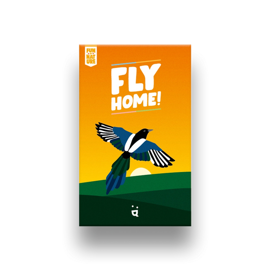 Fly Home