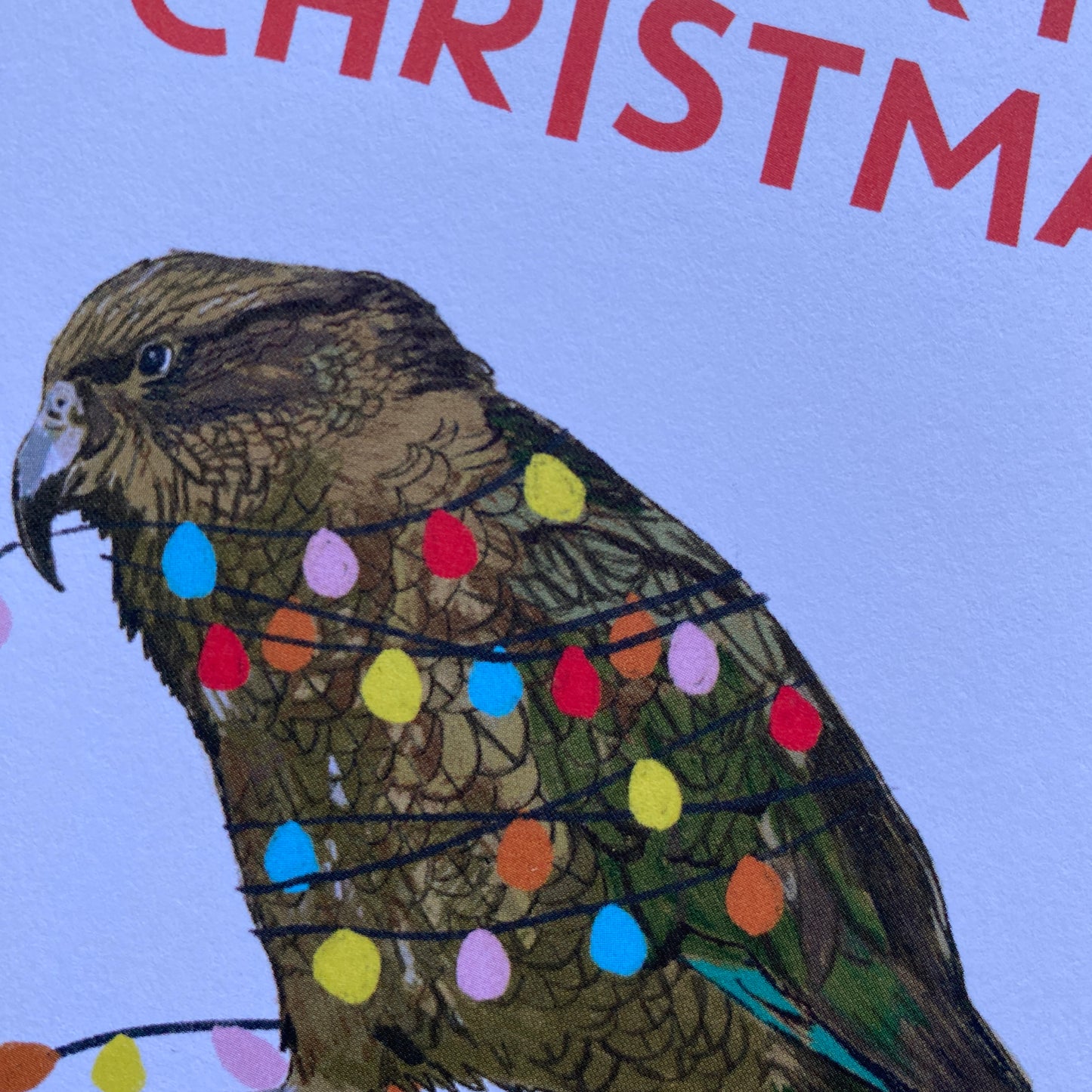 Kea Lights