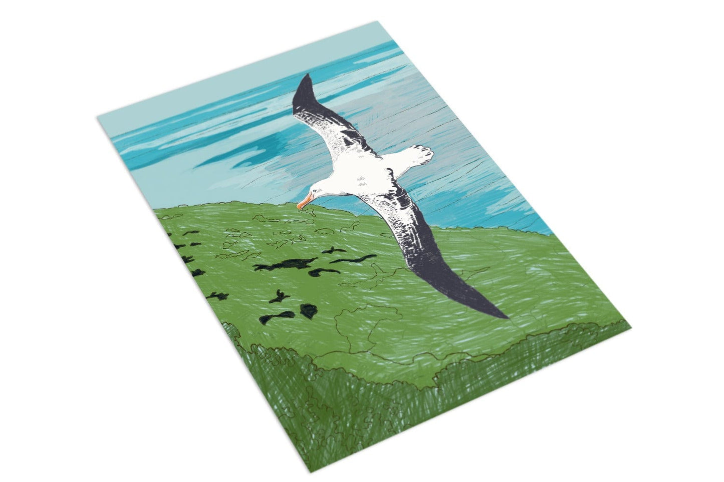 Albatross - The Paper People Greeting Cards