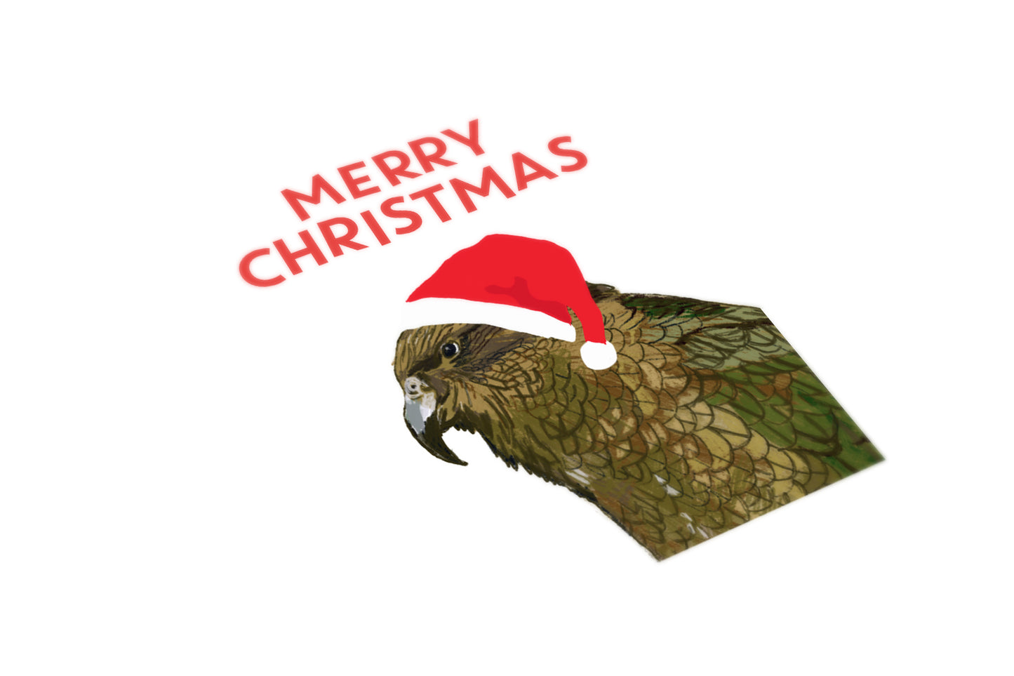 Christmas Kea - The Paper People Greeting Cards