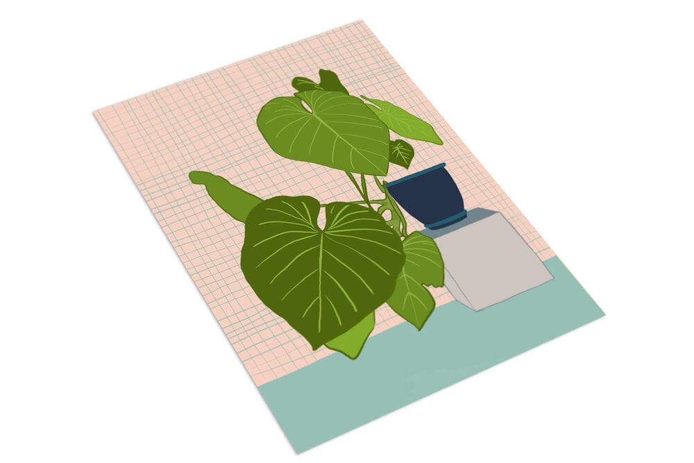 Houseplant Blush - The Paper People Greeting Cards