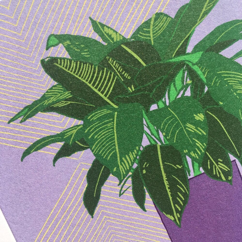 Houseplant Purple - The Paper People Greeting Cards