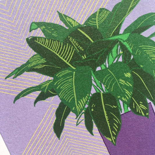 Houseplant Purple - The Paper People Greeting Cards