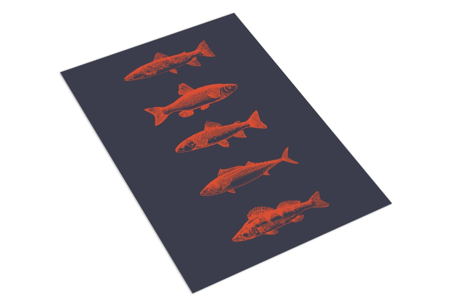 Five Fish - The Paper People Greeting Cards