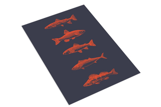 Five Fish - The Paper People Greeting Cards